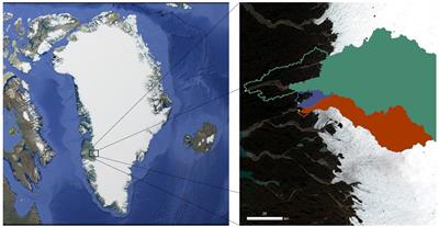 Catchment characteristics and seasonality control the composition of microbial assemblages exported from three outlet glaciers of the Greenland Ice Sheet